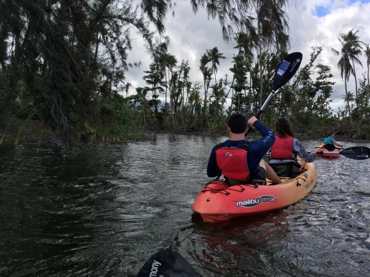 IMG_1793_1522451068950